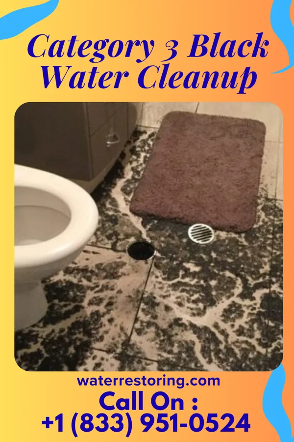 Category 3 Black Water Cleanup in Gideon, OK